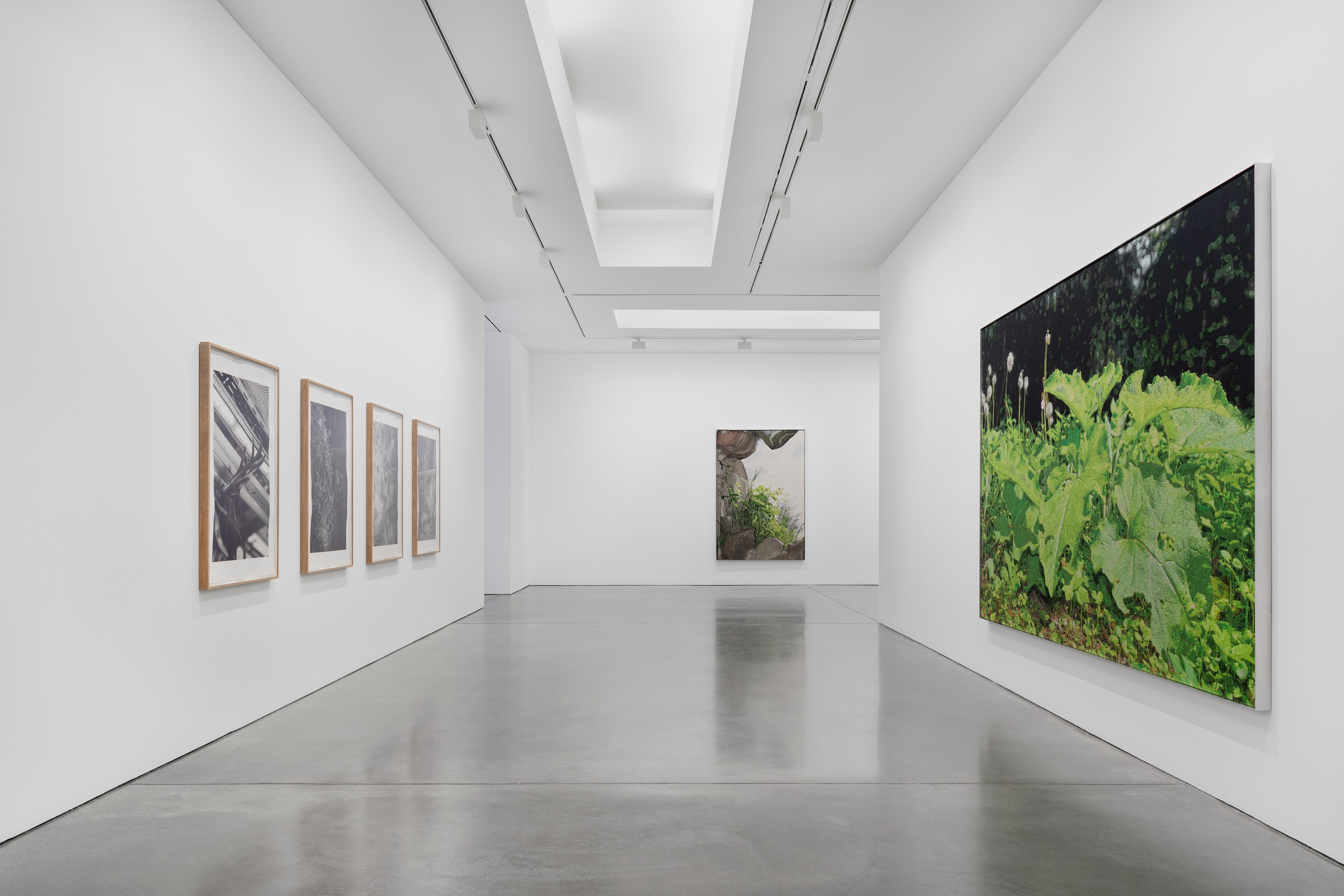 David Hartt, Naturphilosophie at Galerie Thomas Schulte, photo 10