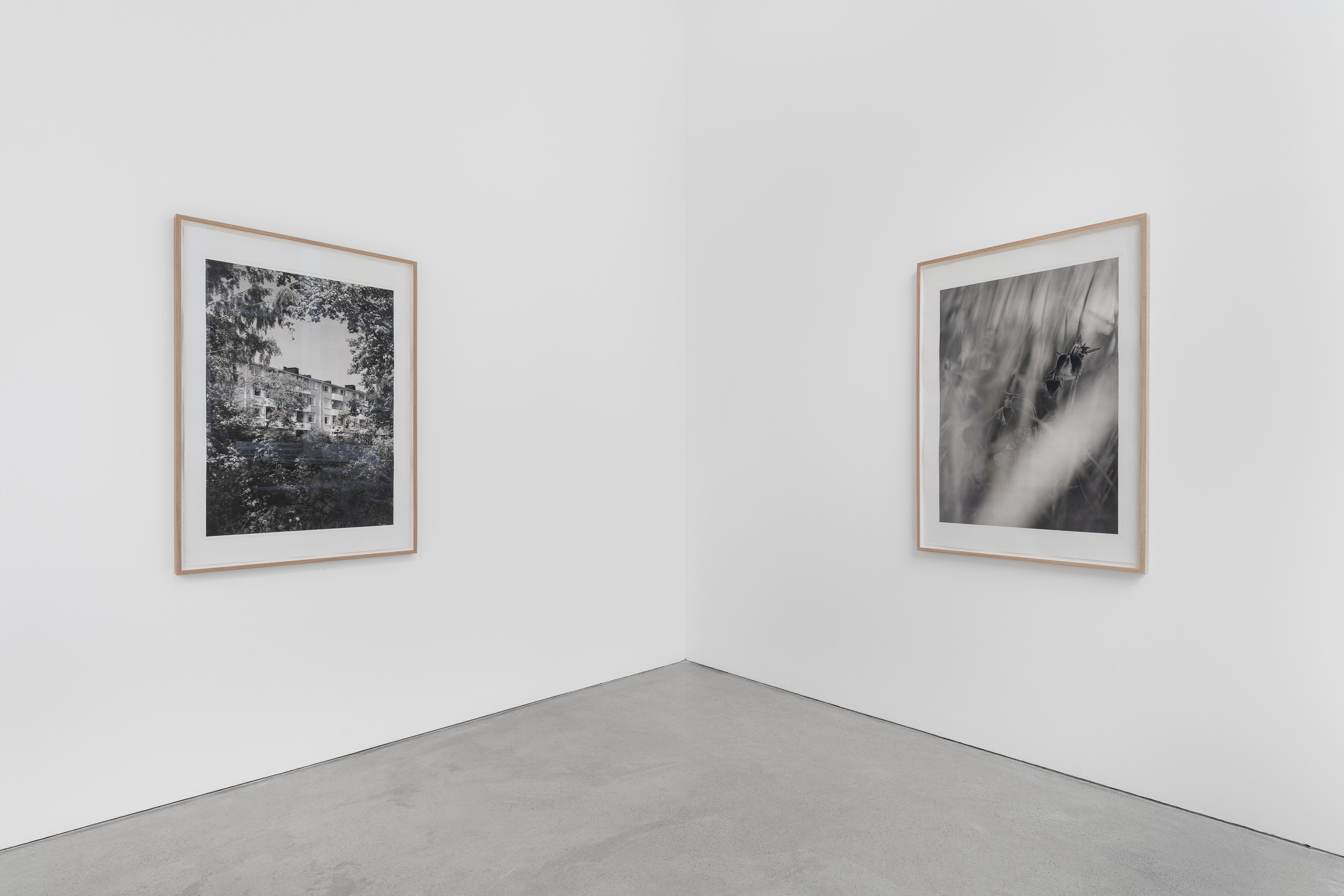 David Hartt, Naturphilosophie at Galerie Thomas Schulte, photo 11