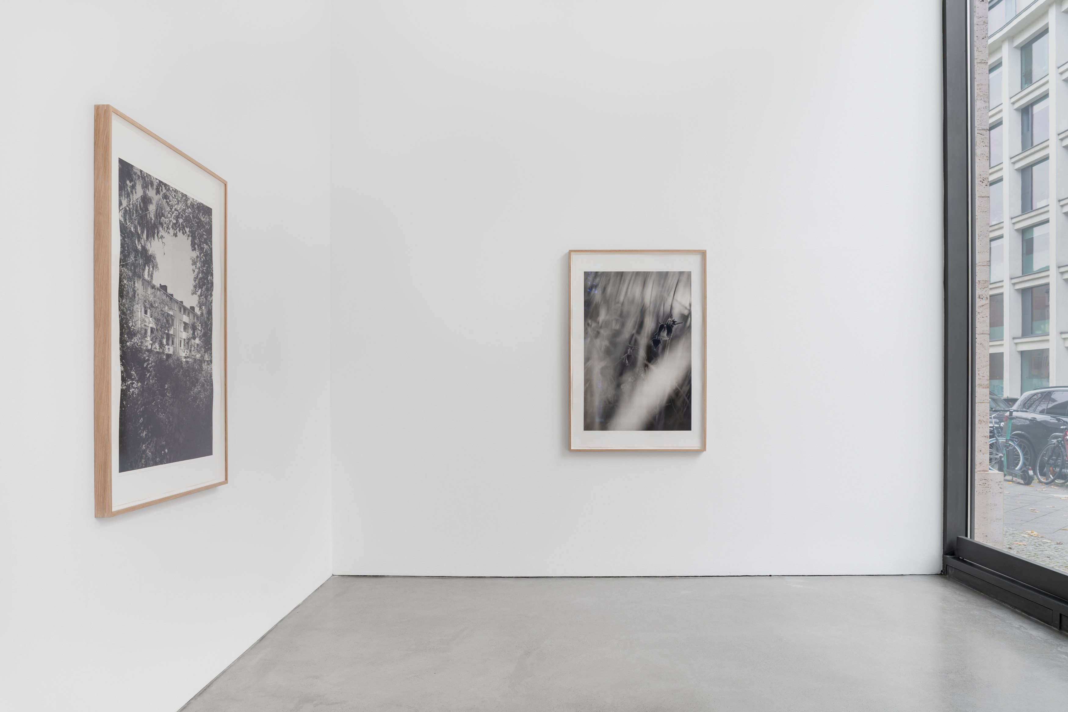 David Hartt, Naturphilosophie at Galerie Thomas Schulte, photo 12