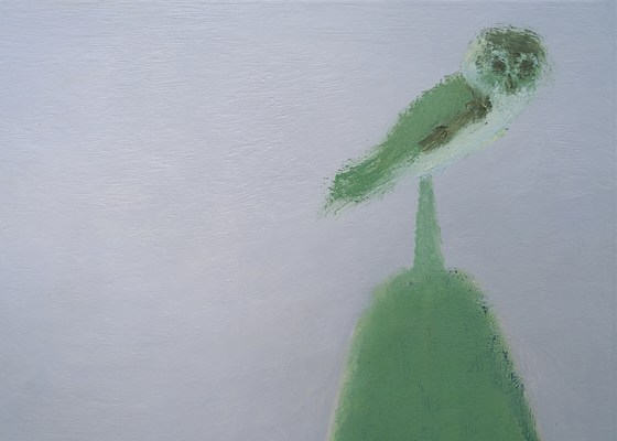 Image 19 of 31