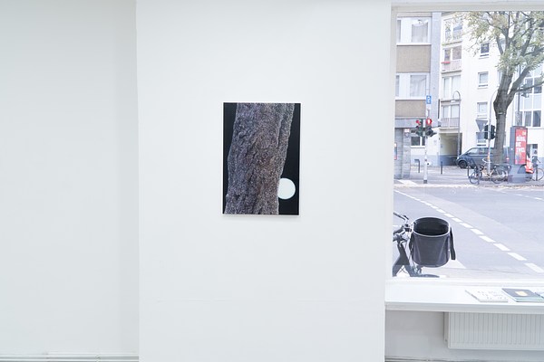 Image 12 of 21