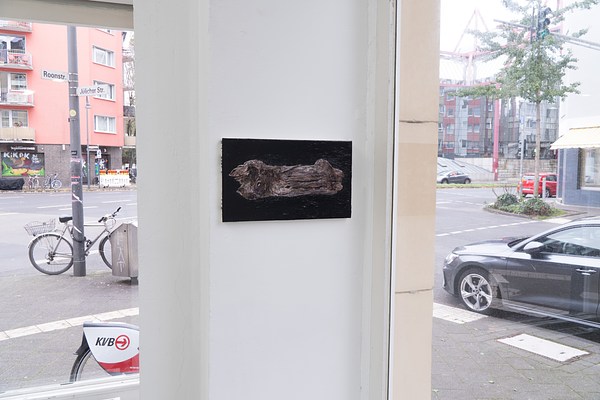 Image 13 of 21