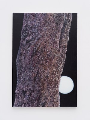 Image 10 of 21