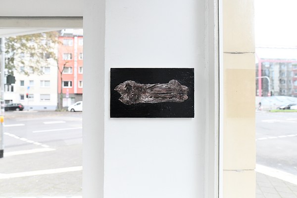 Image 14 of 21