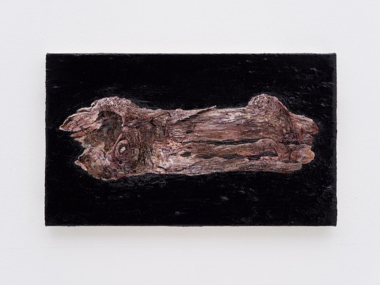 Image 15 of 21