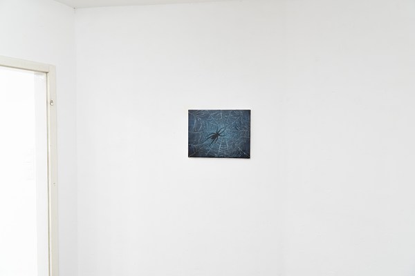 Image 19 of 21
