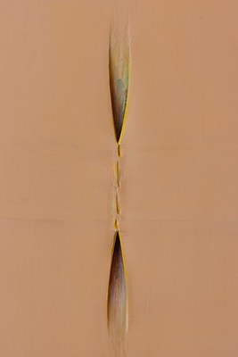Image 19 of 24