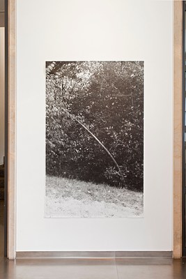 Image 7 of 55