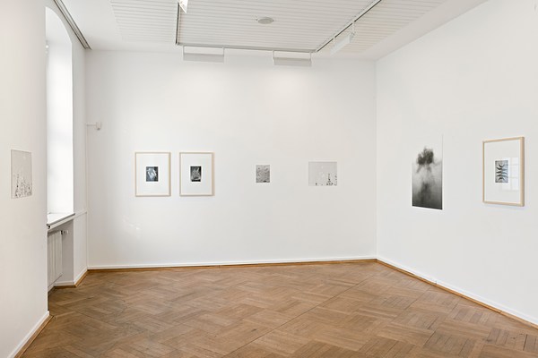 Image 15 of 55