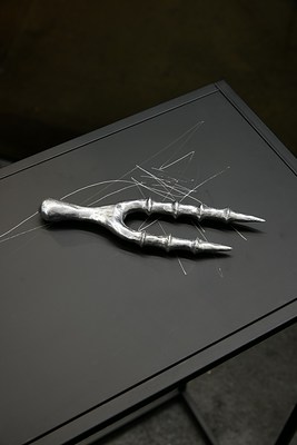 Image 10 of 12