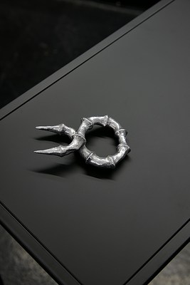 Image 12 of 12