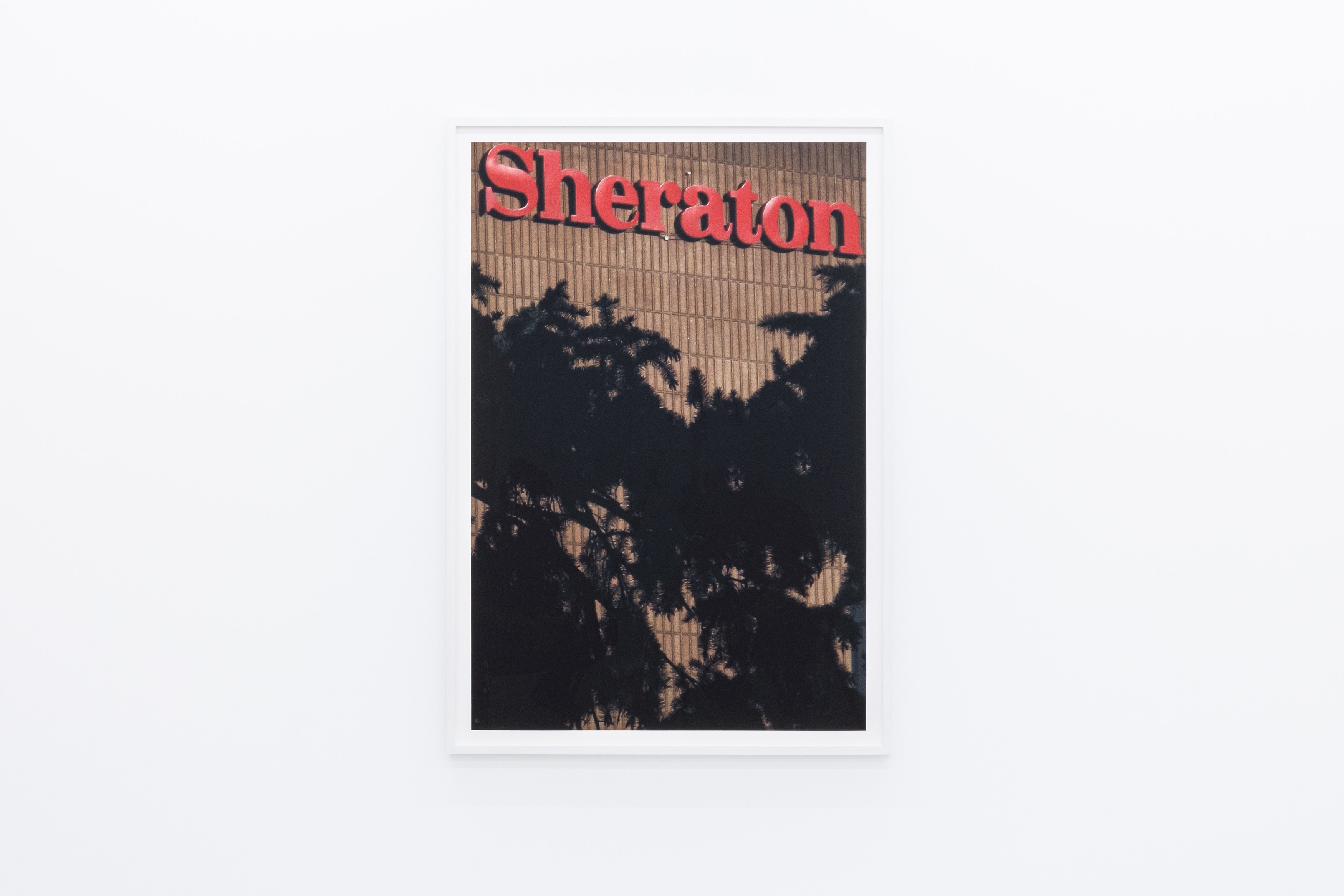 Colin Snapp, National Charter at alexander levy, Berlin and LEVY Galerie, Berlin, photo 8