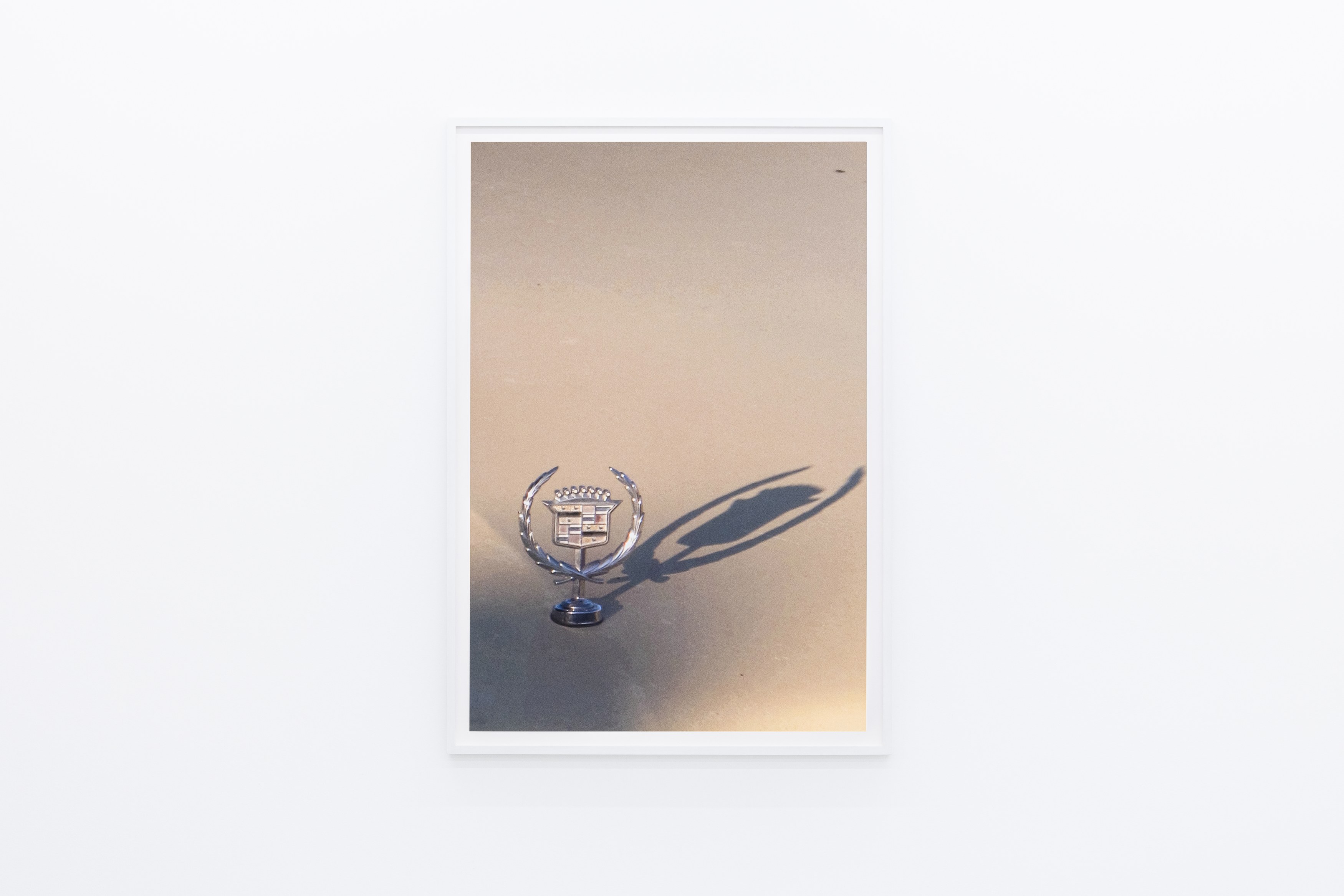Colin Snapp, National Charter at alexander levy, Berlin and LEVY Galerie, Berlin, photo 7