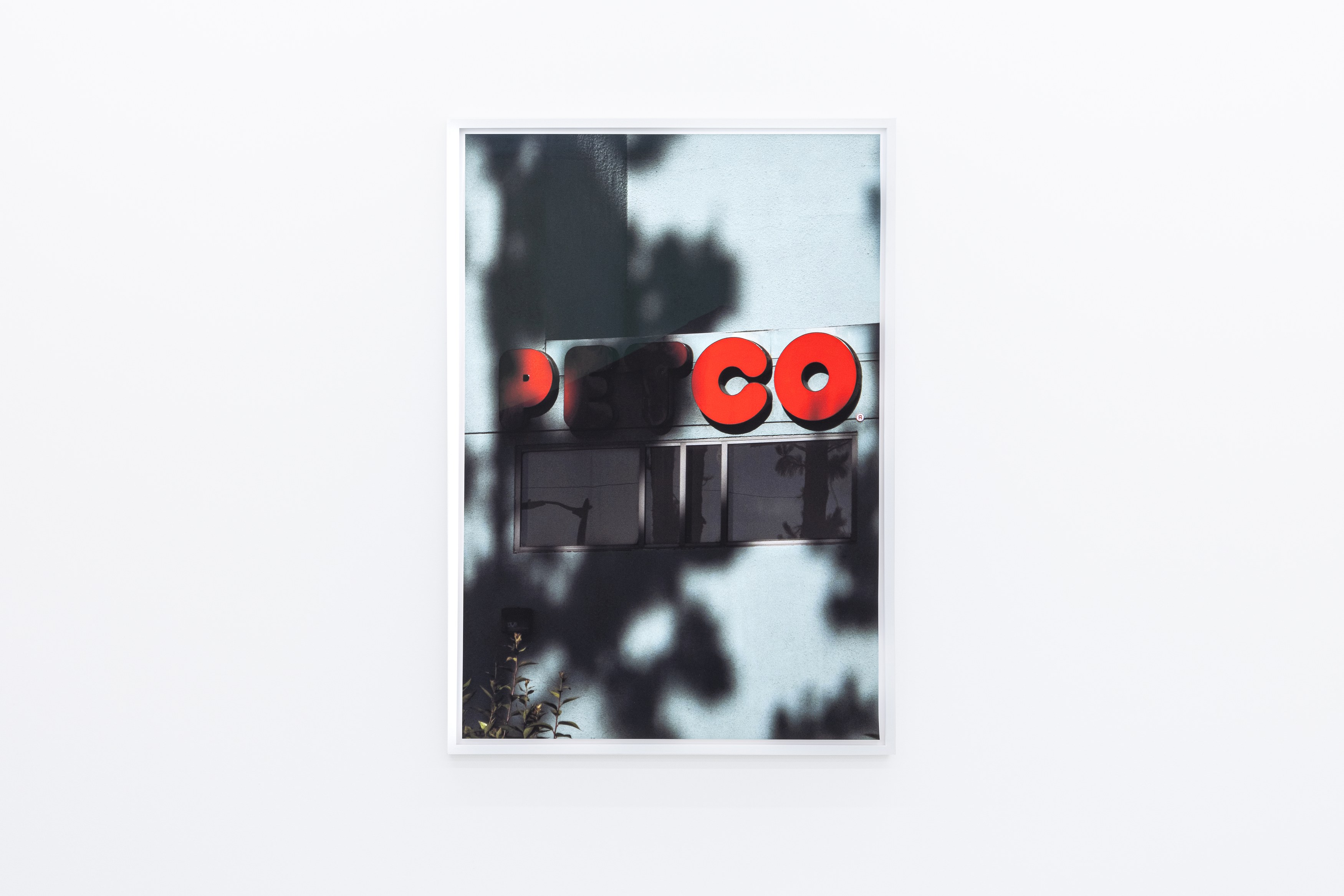 Colin Snapp, National Charter at alexander levy, Berlin and LEVY Galerie, Berlin, photo 12
