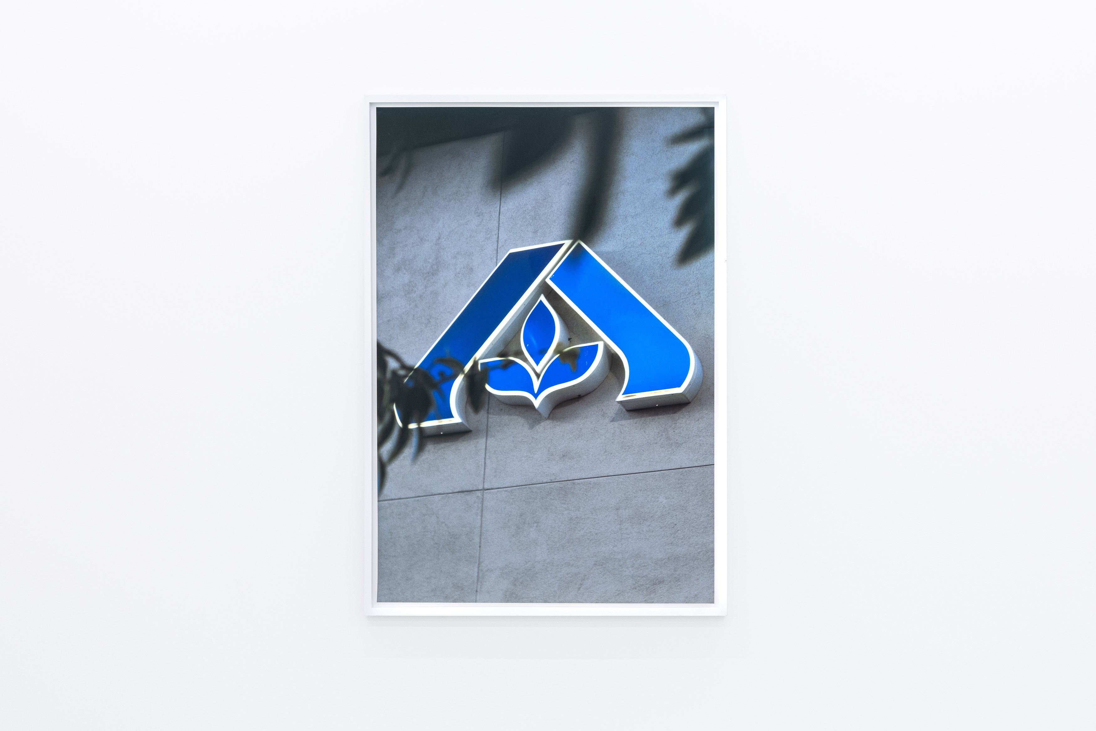 Colin Snapp, National Charter at alexander levy, Berlin and LEVY Galerie, Berlin, photo 13