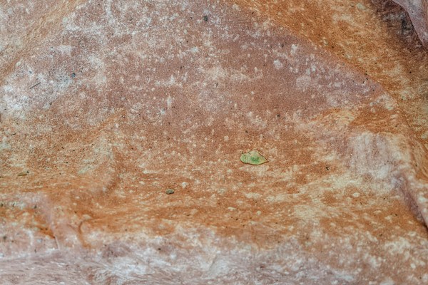Image 22 of 22