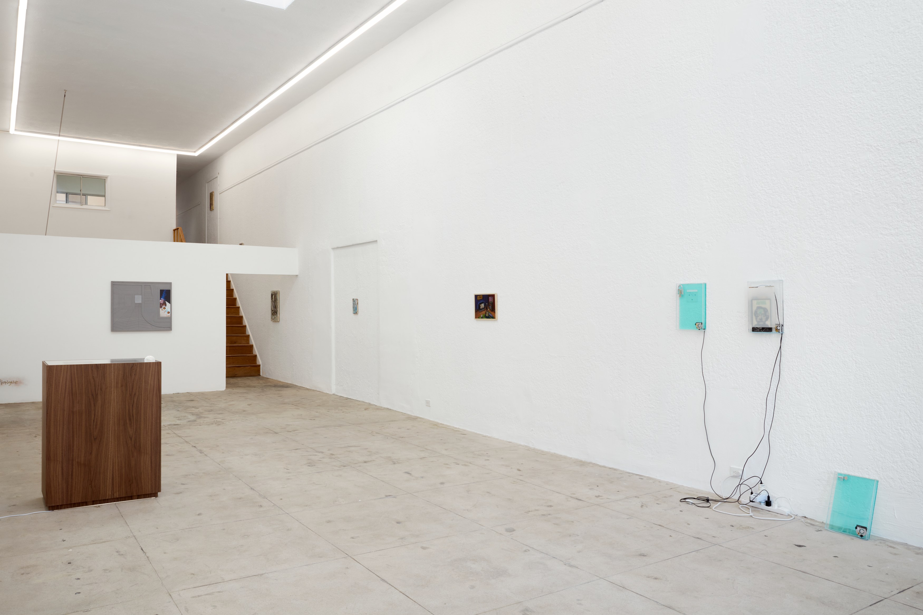 Atavism for the Future, Atavism for the Future at Ehrlich Steinberg, photo 3
