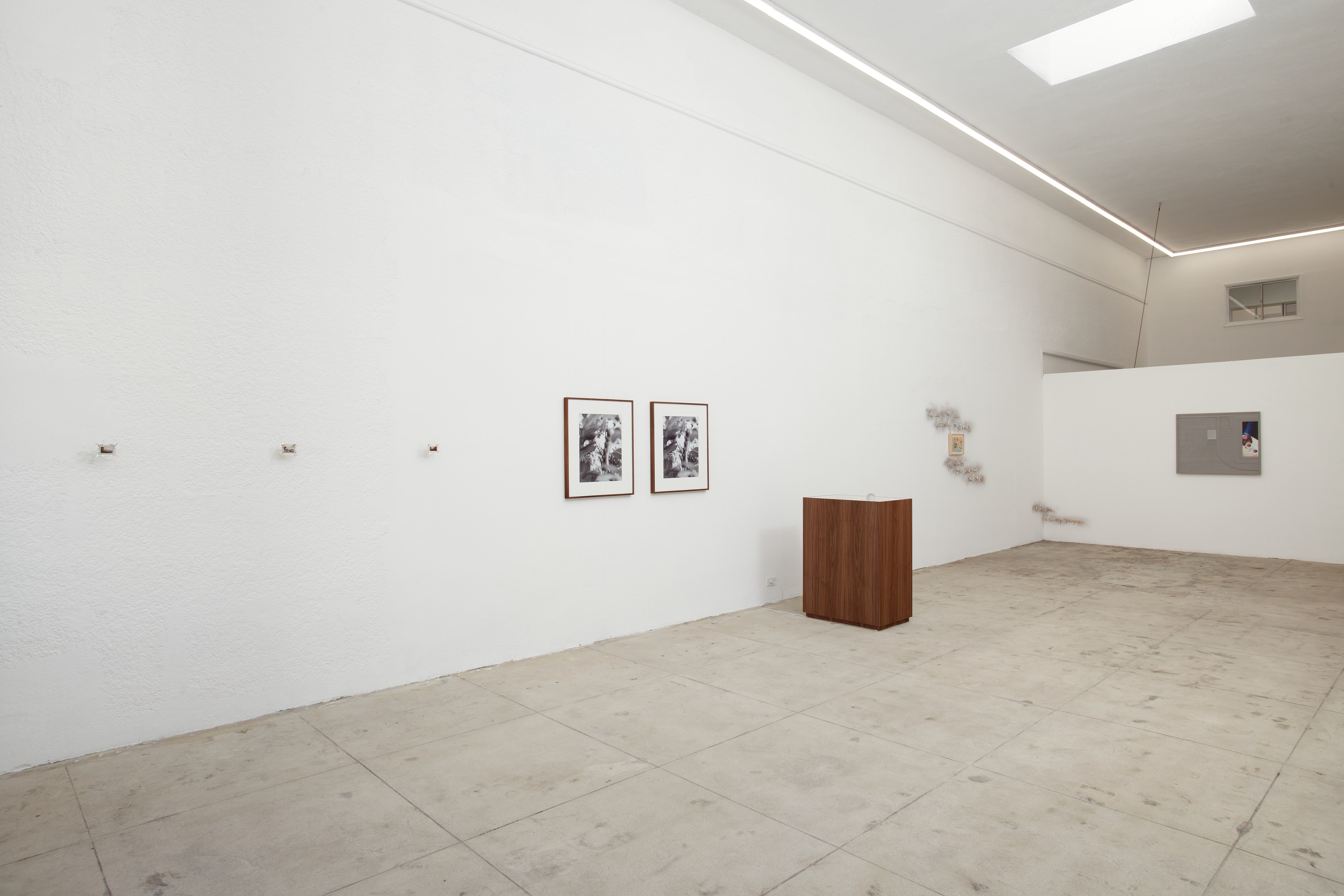 Atavism for the Future, Atavism for the Future at Ehrlich Steinberg, photo 2