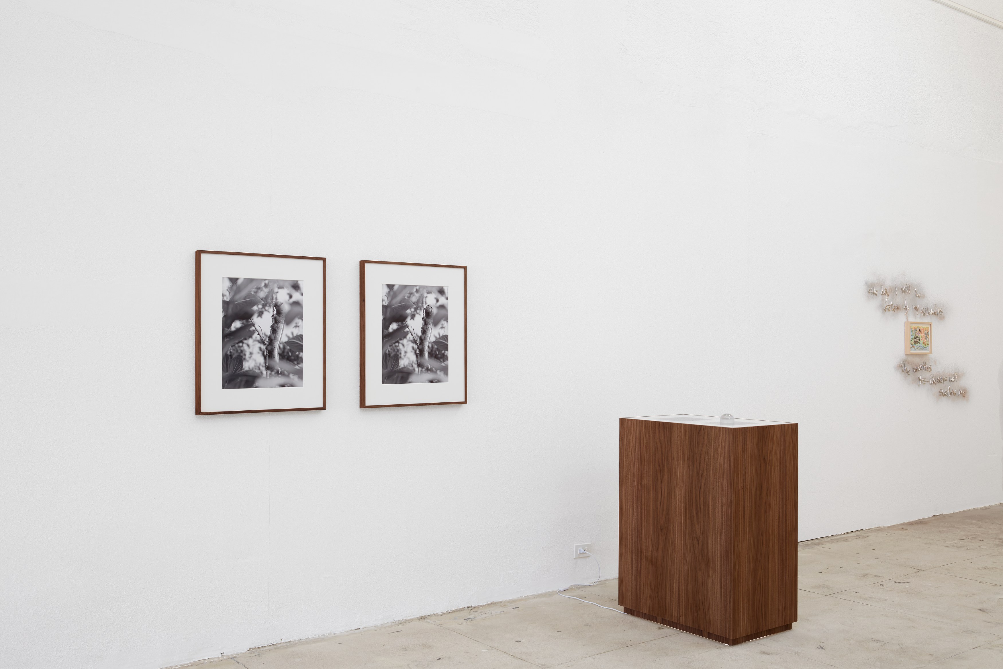 Atavism for the Future, Atavism for the Future at Ehrlich Steinberg, photo 9
