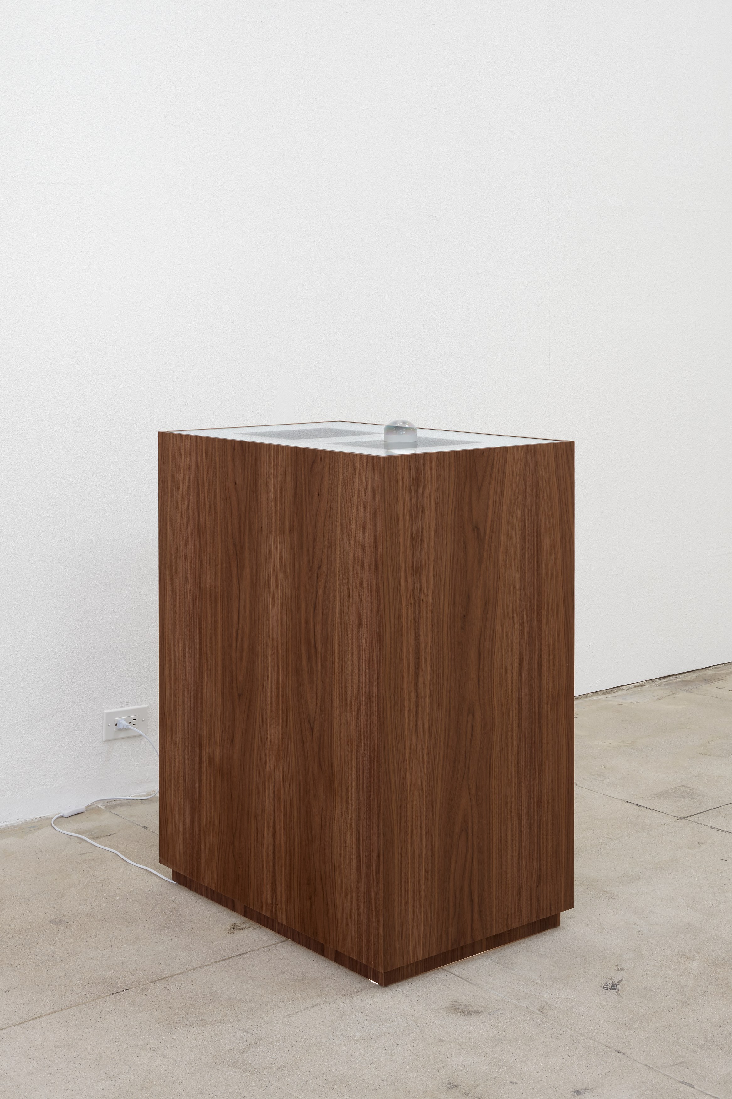 Atavism for the Future, Atavism for the Future at Ehrlich Steinberg, photo 13