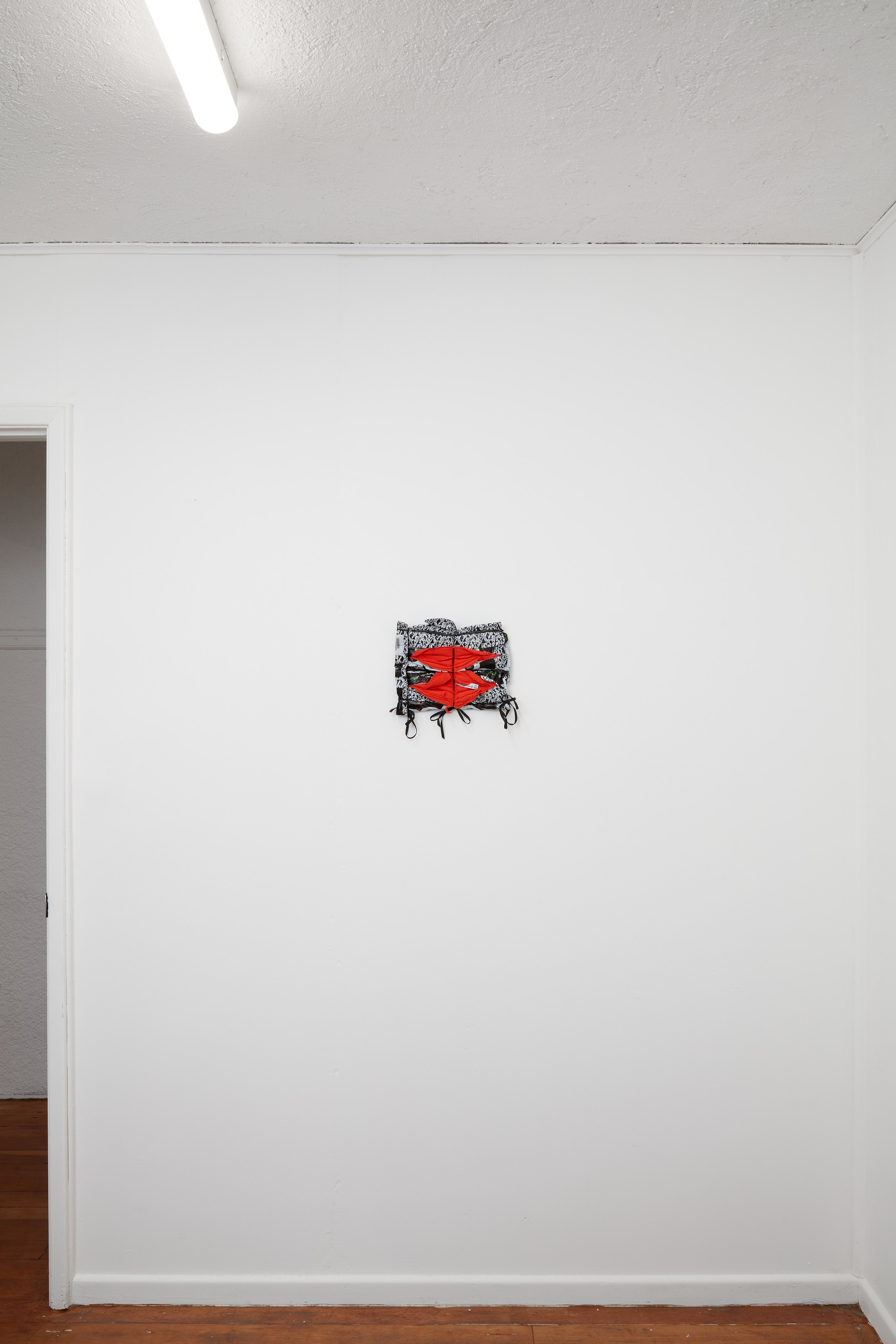 Atavism for the Future, Atavism for the Future at Ehrlich Steinberg, photo 47