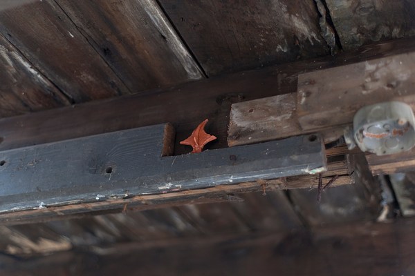 Image 10 of 19