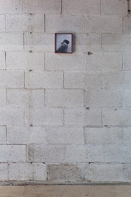 Image 16 of 19