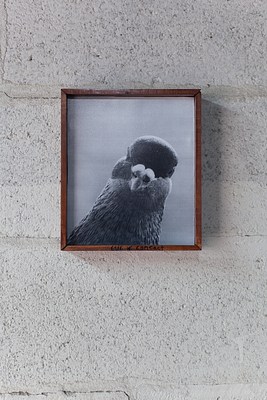 Image 17 of 19