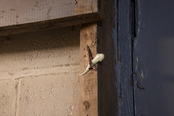 Image 35 of 37
