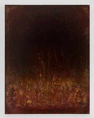 Image 16 of 19
