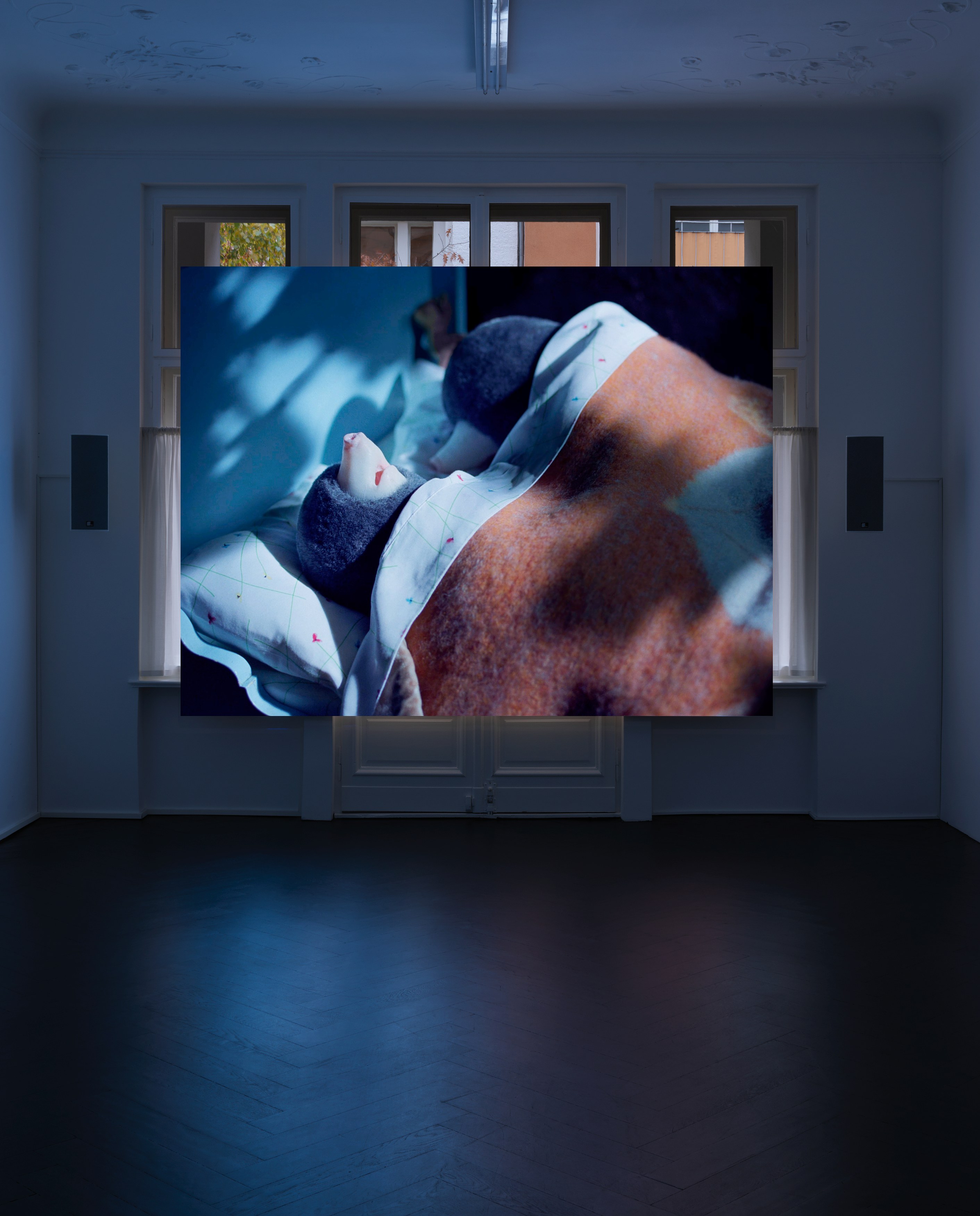 Diego Marcon, Dolle at Galerie Buchholz, Berlin, photo 4