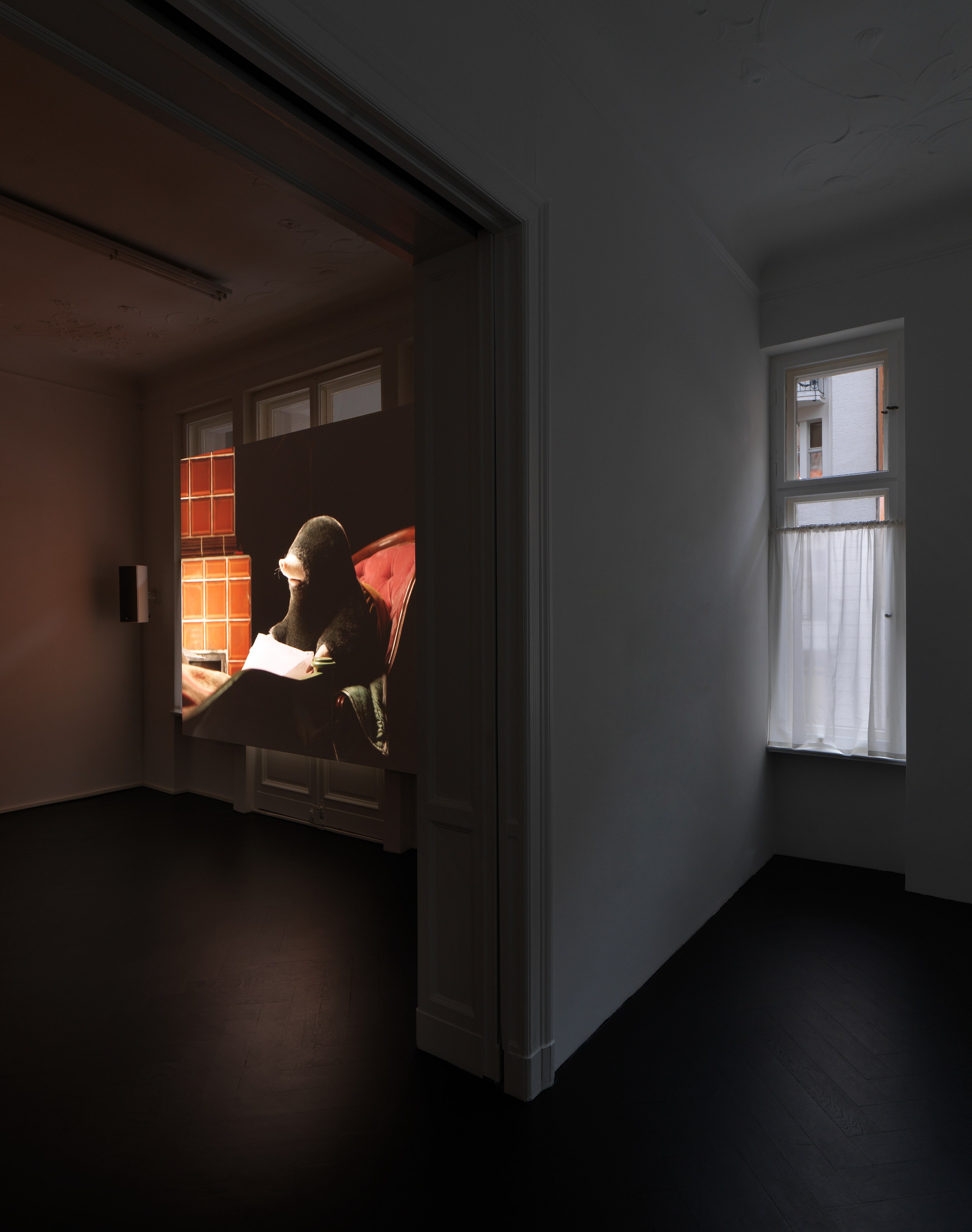 Diego Marcon, Dolle at Galerie Buchholz, Berlin, photo 2