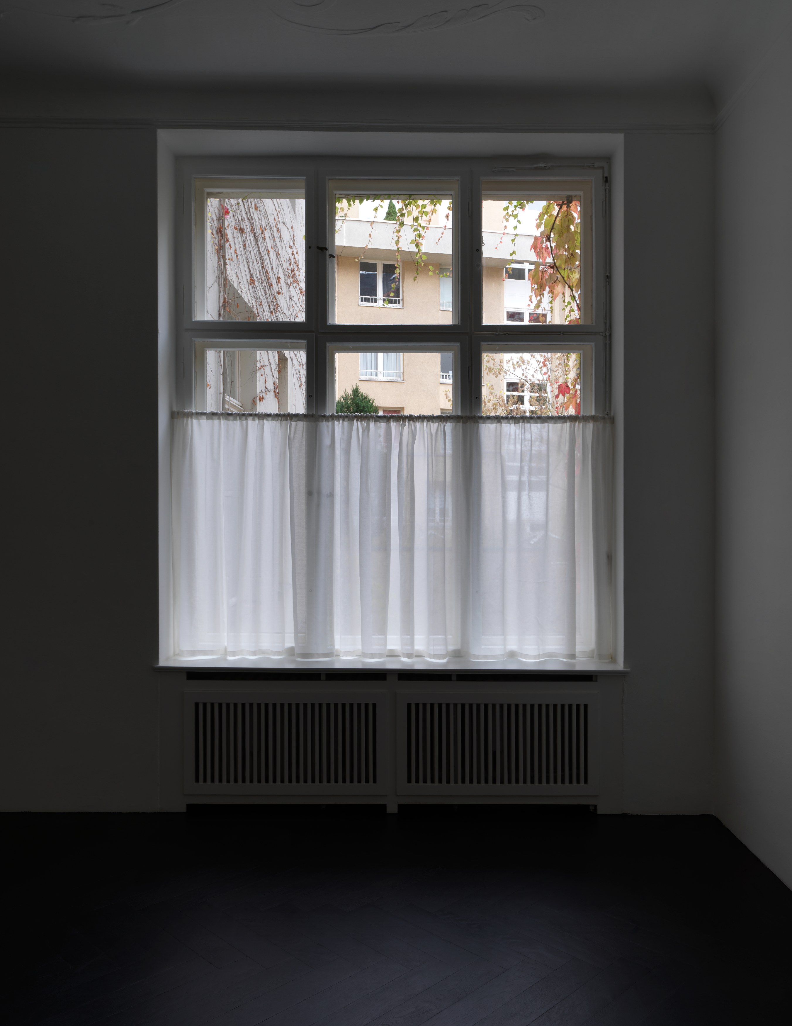 Diego Marcon, Dolle at Galerie Buchholz, Berlin, photo 7