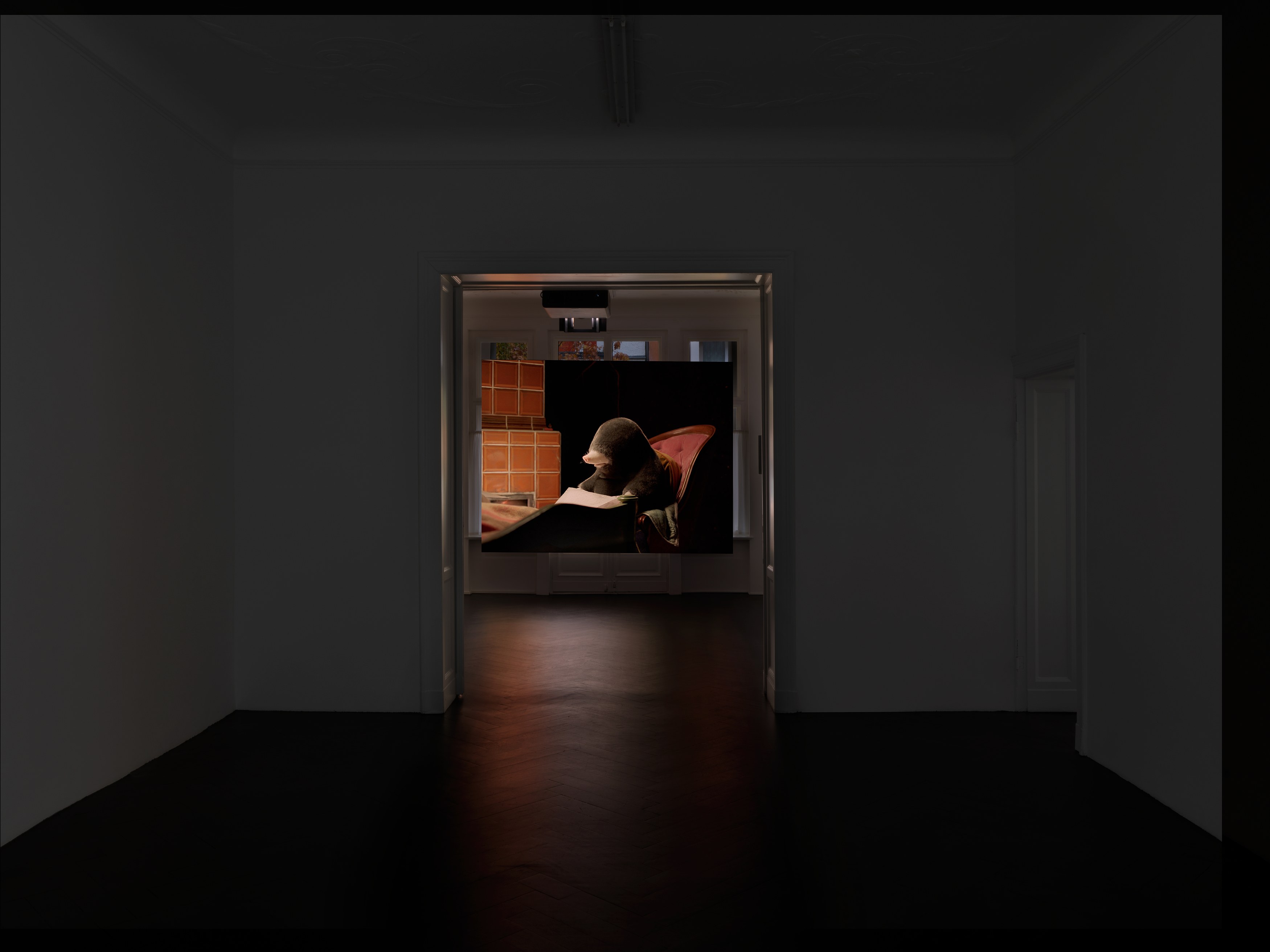 Diego Marcon, Dolle at Galerie Buchholz, Berlin, photo 5