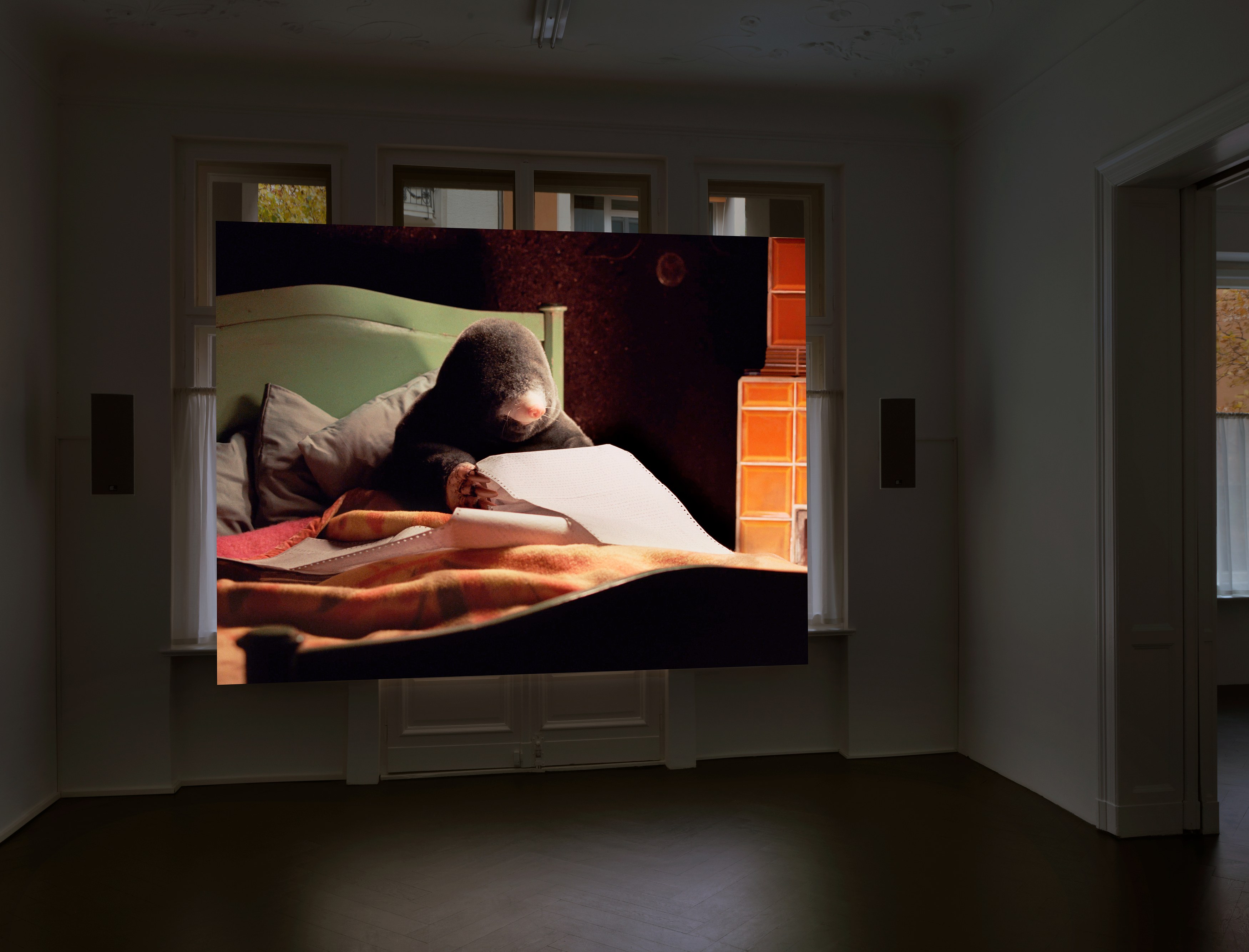 Diego Marcon, Dolle at Galerie Buchholz, Berlin, photo 3