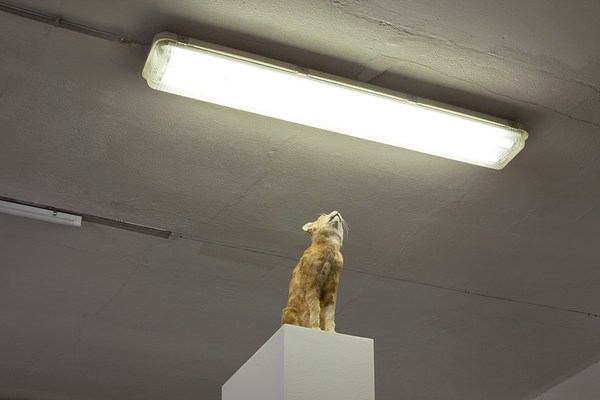 Image 4 of 9