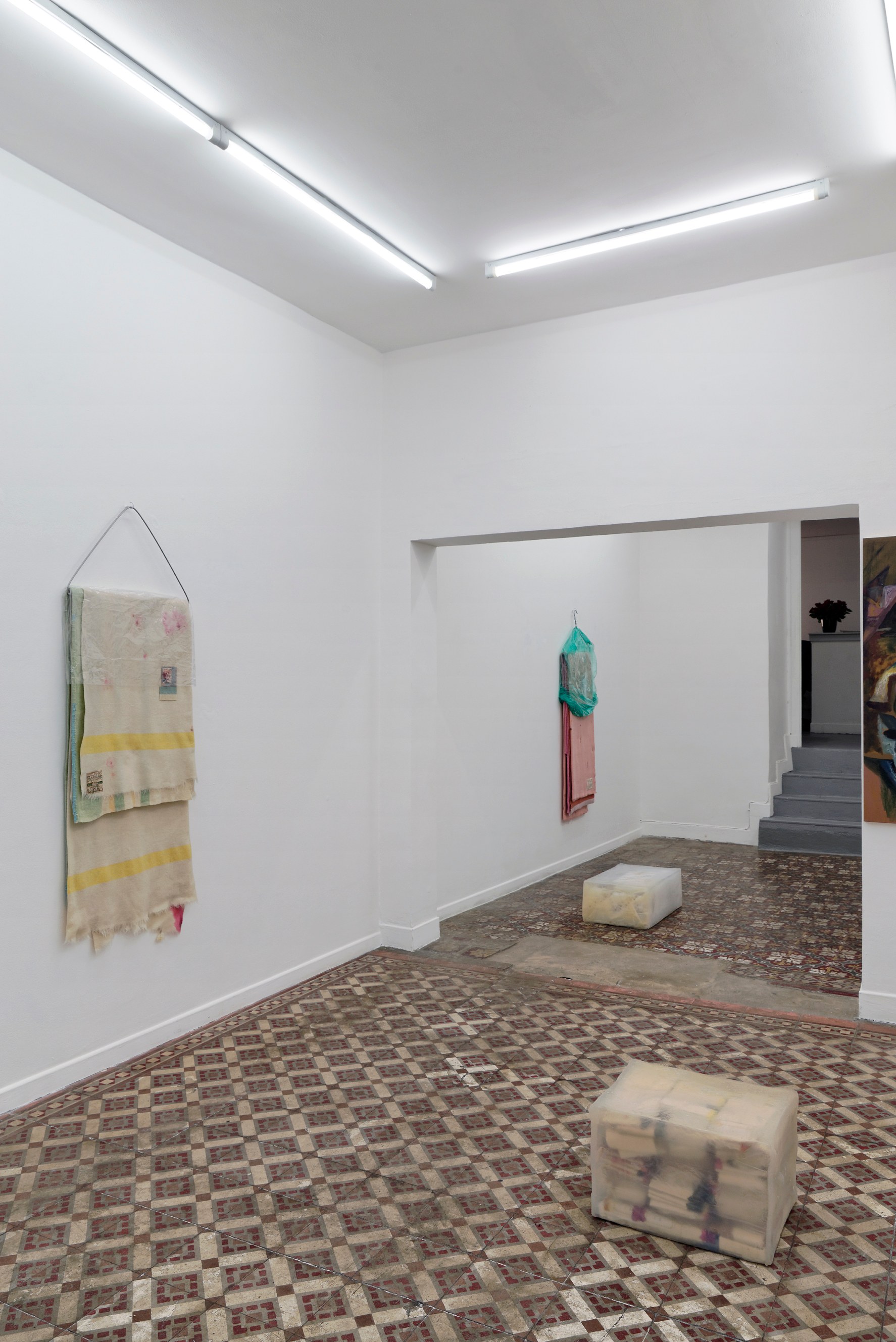 Rebecca Brewer, Liz Magor, Marie Voignier, L'intruse at Marcelle Alix, photo 4