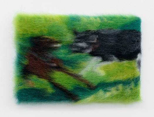 Image 19 of 51