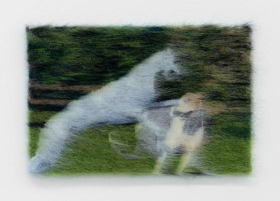 Image 21 of 51