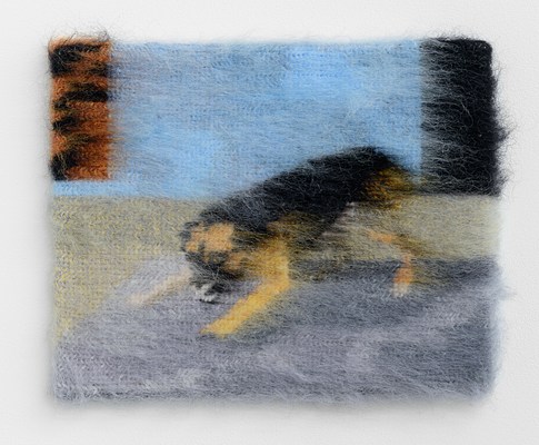 Image 17 of 51