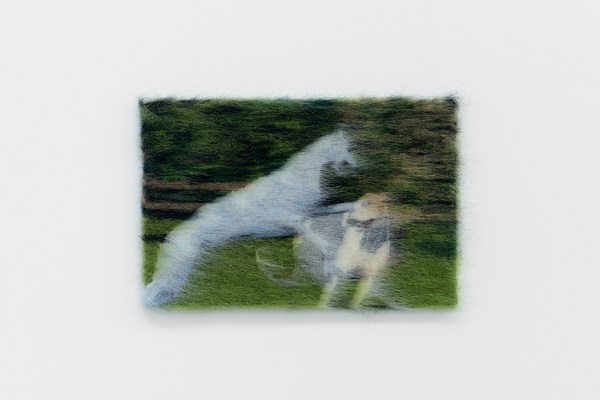 Image 20 of 51