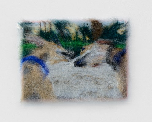 Image 22 of 51