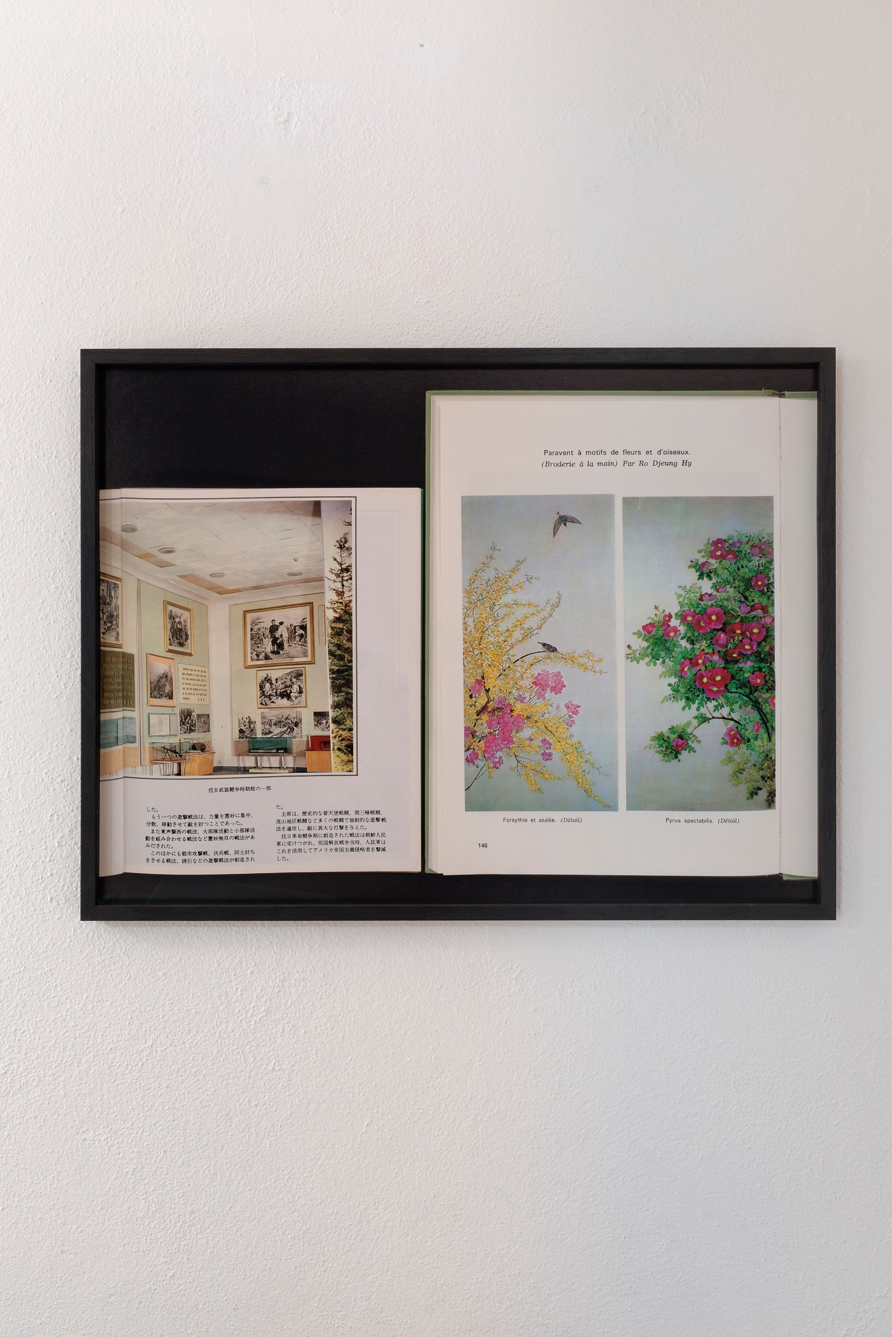 Rebecca Brewer, Liz Magor, Marie Voignier, L'intruse at Marcelle Alix, photo 17