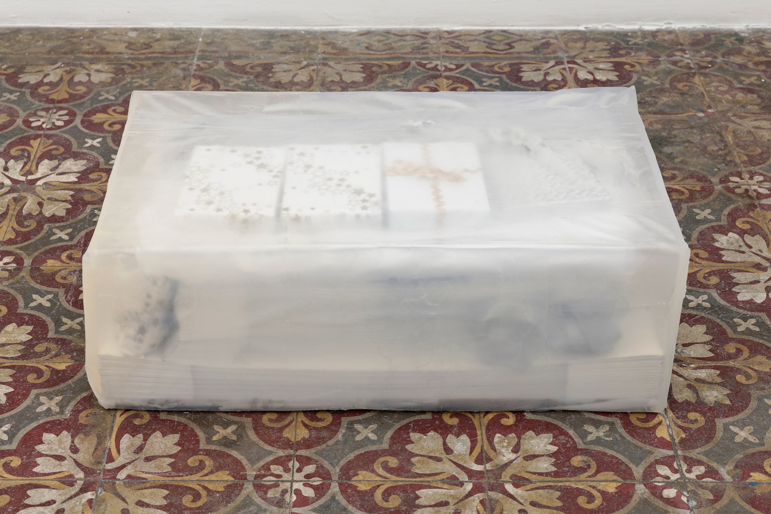 Rebecca Brewer, Liz Magor, Marie Voignier, L'intruse at Marcelle Alix, photo 19
