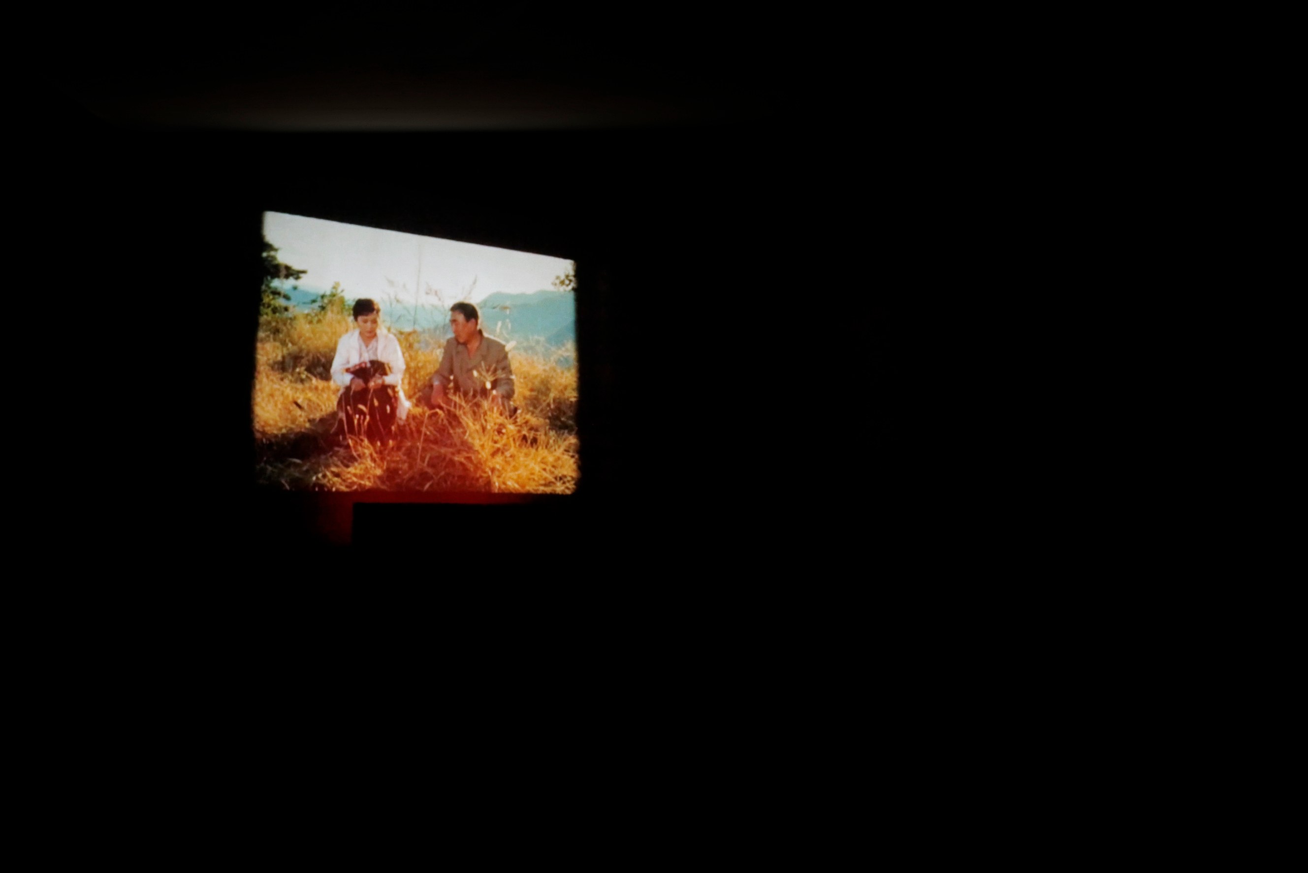 Rebecca Brewer, Liz Magor, Marie Voignier, L'intruse at Marcelle Alix, photo 26
