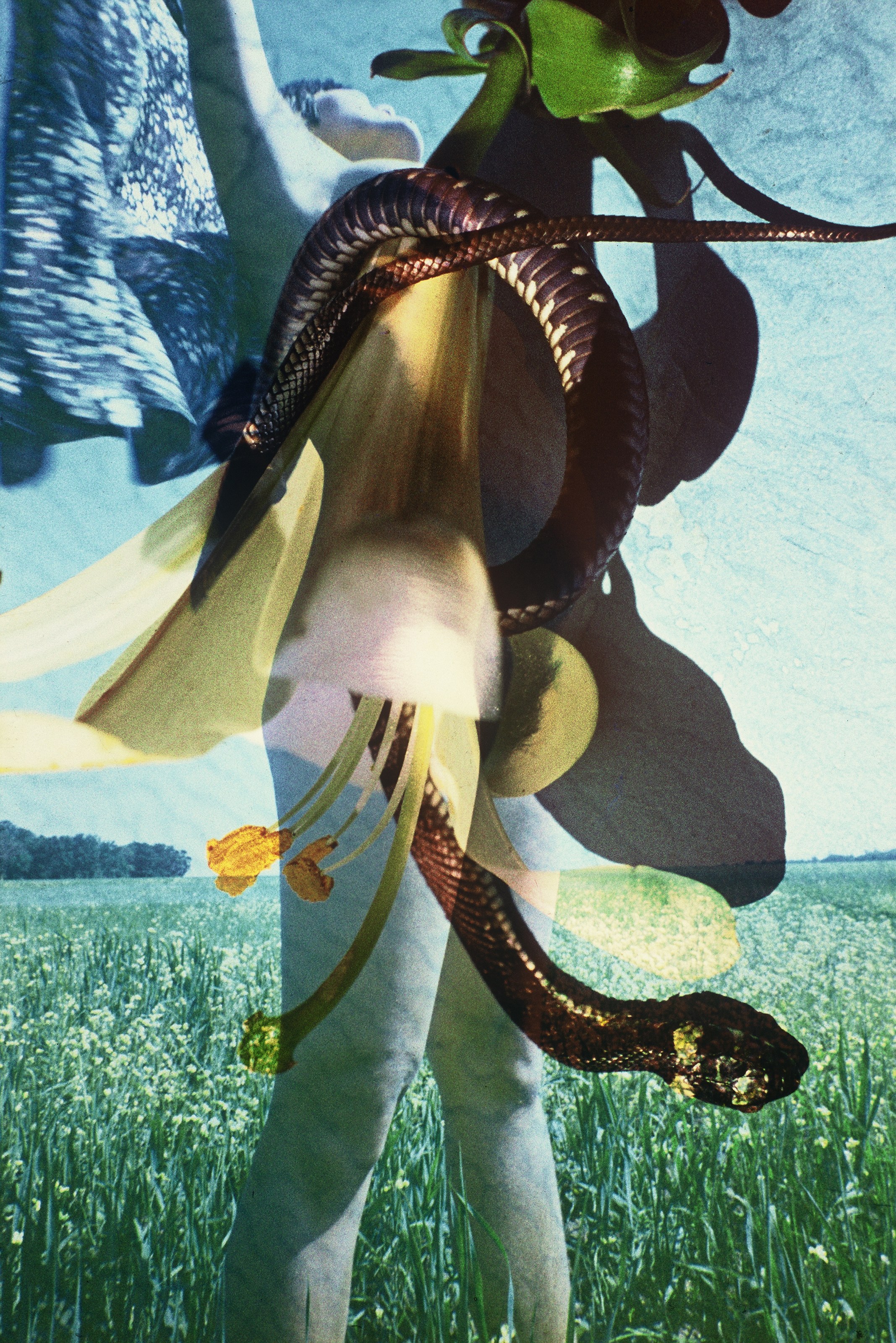 Boris Mikhailov, Windows of the Opportunities at Trautwein Herleth, photo 6