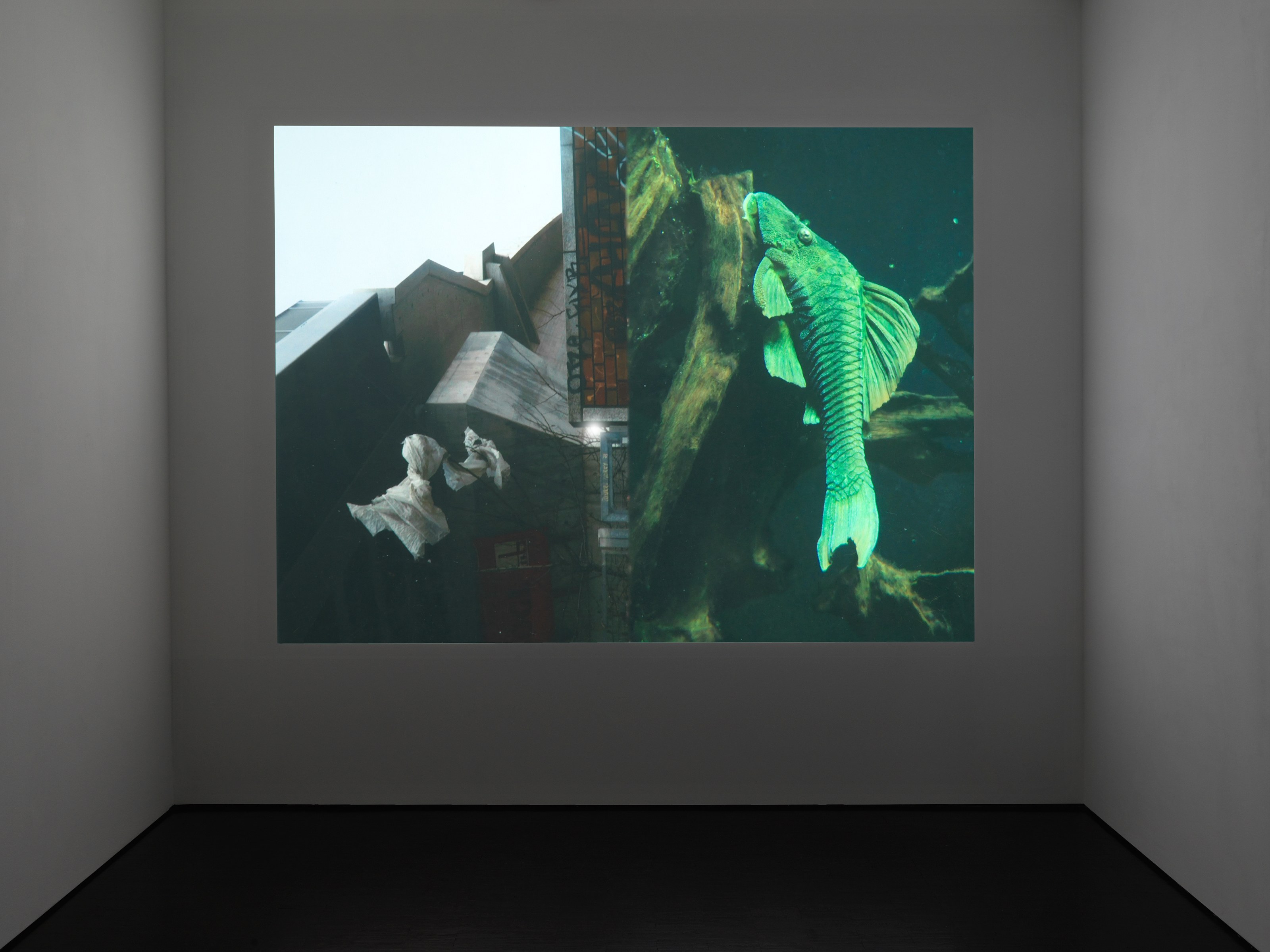 Boris Mikhailov, Windows of the Opportunities at Trautwein Herleth, photo 10