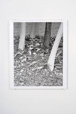 Image 2 of 8
