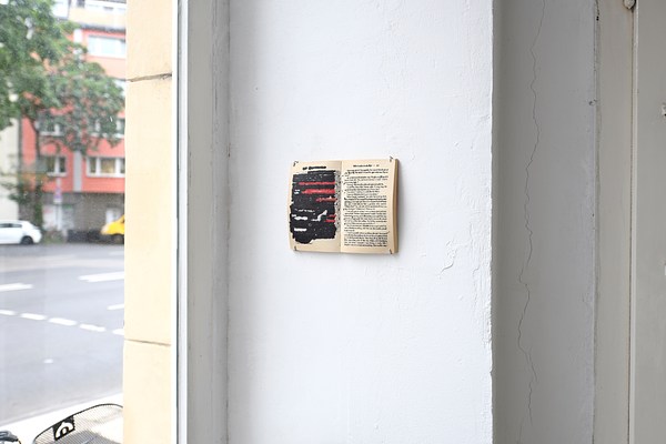 Image 12 of 25