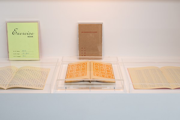Image 4 of 9